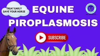 Unlocking Equine Piroplasmosis Etiology Diagnosis and Treatment Explained I GNP Sir [upl. by Attegroeg]