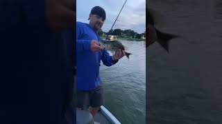 Banana bass on Logan Martin lake [upl. by Pomeroy]