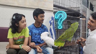 Best Bird For Your Home  How To Pair Adult Birds [upl. by Ramunni517]