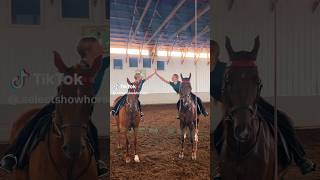 Saddleseat Show Barn 🥰 selectshowhorses [upl. by Rolo]