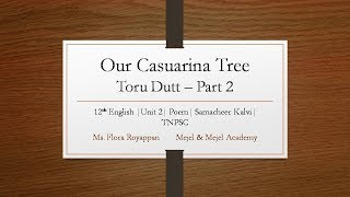 Our Casuarina Tree Part 2  Stanzas 23 12th English Samacheer Kalvi [upl. by Kwabena]