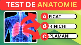 ANATOMIETest de anatomieCunostinte Generale80 nu stiu raspunsul [upl. by Ailehc]