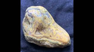 Cool Agates found Urban Rockhounding New Orleans nola cajunrockhound Crowley [upl. by Euv]