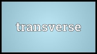 Transverse Meaning [upl. by Sisely858]