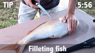 How to Fillet Fish [upl. by Fadiman]