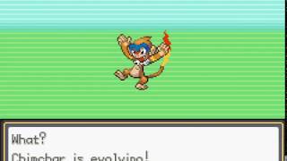 Pokemon Gaia GBA Chimchar Evolves Into Monferno [upl. by Naryb]