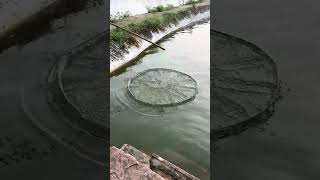 Real outdoor raising net fishing network outdoor grabbing outdoor outdoor explosion net National Da [upl. by Aillicsirp874]