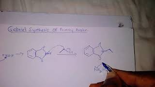 Gabriel synthesis mechanism for Primary Amines [upl. by Platus]