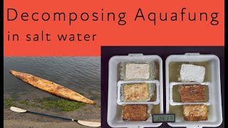 Testing the water resistance of mycelium bricks in salt water Aquafung [upl. by Sherfield710]