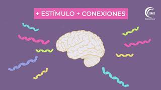 ¿Cómo aprende el cerebro del niño 💡 Introducción a la Neurociencia y el funcionamiento del cerebro [upl. by Asamot]