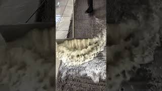 Deep Cleaning Satisfaction Watch This Rug Transformation 🧼✨ CarpetCleaning [upl. by Annoyek]