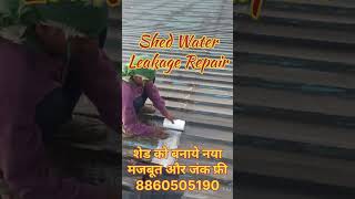 Shed Waterproofing । Roof Shed Water Leakage Problem Solution । Roof Shed Waterproofing Treatment [upl. by Nitsir622]