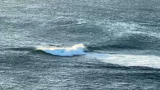 Elliston SA Blackfellows surfing 2023 [upl. by Bartolome]