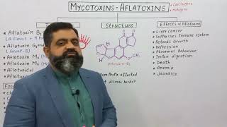 Aflatoxins English medium profmasoodfuzailmycotoxins typesofaflatoxins aflatoxins [upl. by Debra364]