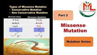 Missense Mutation Types  Conservative amp NonConservative Mutation Missense Mutation 2nd part [upl. by Lundeen]