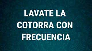 Lavate la cotorra con frecuencia  Audios Whatsapp [upl. by Undis642]