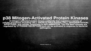 Medical vocabulary What does p38 MitogenActivated Protein Kinases mean [upl. by Nabala110]