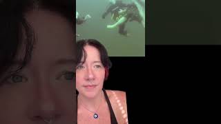 Scuba Diving Resort Part 2 shark sharks scubadiving submechanophobia horrorshorts viralvideo [upl. by Ezaria31]