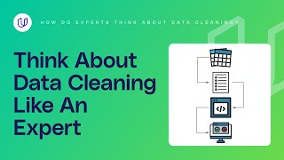 How Do Experts Think About Data Cleaning [upl. by Ilehs]