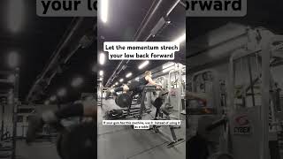 Reverse Hyperextensions will heal your back [upl. by Nisbet]