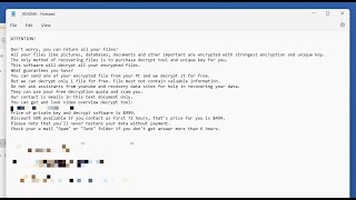 Ldhy ransomware ldhy ransomware Removal options [upl. by Aikemal827]