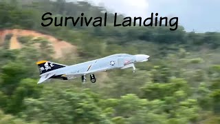 Survival Landing  TopRC Model F4 Phantom Turbine Jet wJetcat P180RXi Lost a wheel at takeoff [upl. by Aihsetan411]