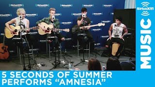 5 Seconds of Summer  quotAmnesiaquot Live  SiriusXM [upl. by Vite]