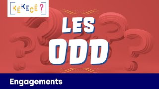 Les « ODD » ou Objectifs de Développement Durable Kékecé   Épisode 10 Matmut [upl. by Noside]