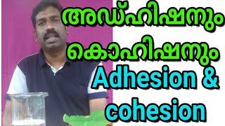 adhesion and Cohesion അഡ്ഹിഷനും കൊഹിഷനും [upl. by Asimaj]