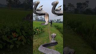 Charo tafse sap agaya 🐍 trending snake vfx viralvideo youtubeshorts [upl. by Bail]