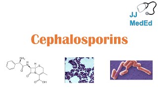 Cephalosporin Antibiotics 1st to 5th Generation Mechanism Side Effects and Bacterial Targets [upl. by Atiekal435]