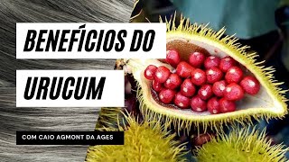 Benefícios do URUCUM e o potencial farmacológico da Amazônia envelhecimento saudável [upl. by Frieder293]