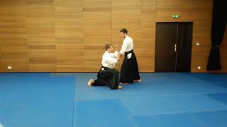 Hanmi hantachi waza Katate dori Kokyu nage [upl. by Eniledgam]