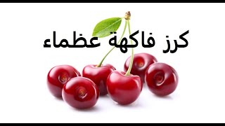 كرز cerasus طرق تكاثر وتسميد ورى حلقة 238 [upl. by Astto]