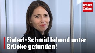 FöderlSchmid lebend unter Brücke gefunden  kronetv NEWS [upl. by Theone231]