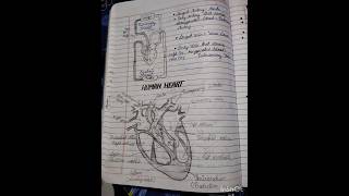 Chapter 1 st life process all important diagrams 20242025class10viral [upl. by Hendren]