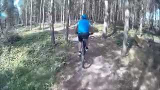 MTB Cannock Chase Monkey Trail Full [upl. by Aicella]