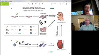 Expression Profiling of Circulating MicroRNAs [upl. by Bennett975]