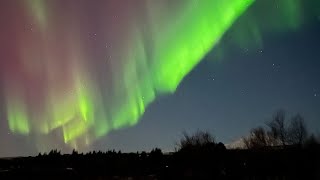 Chasing Northern Lights in Iceland [upl. by Flori]