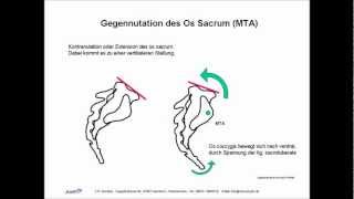 ISG Ilio Sacral Gelenk Biomechanik Manuelle Therapie Osteopathie Skript [upl. by Decker]