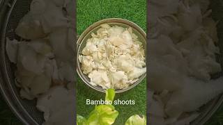 Bamboo shoots Recipe  Bamboo Shoots Sabji 😋shorts trending ytshorts bambooshoot [upl. by Cesaro]