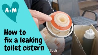 How to change toilet cistern seat washer Caroma dual flush [upl. by Renferd]