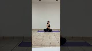 ES 8  SEATED BUST ROTATION  SOMATIC EXERCISES [upl. by Adnicul]