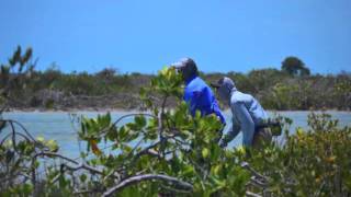 Bonefishing in Xcalak Mexico [upl. by Adieren]