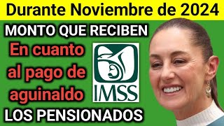 ¡Atención Jubilados y Pensionados La Suma del Aguinaldo que Recibirán del IMSS es Sorprendente [upl. by Leinad955]