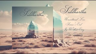 Siddhartha  The Four Divine States 2024 Full Album [upl. by Aserret]