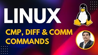 Part 7  UnixLinux for Testers  cmp diff amp comm Commands [upl. by Madeleine]