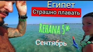 СТРАШНО ПЛАВАТЬ Rehana Royal Beach Resort amp Spa 5 Первая линия Район Набк Ужин Анимация Риф и рыбки [upl. by Edie]