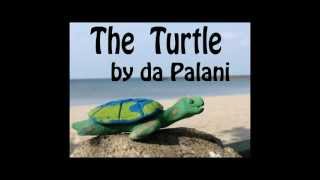 quotThe Turtlequot by da Palani  Music by Da Palani wNevergreen [upl. by Amar]