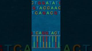 CRISPR Explained [upl. by Caye]